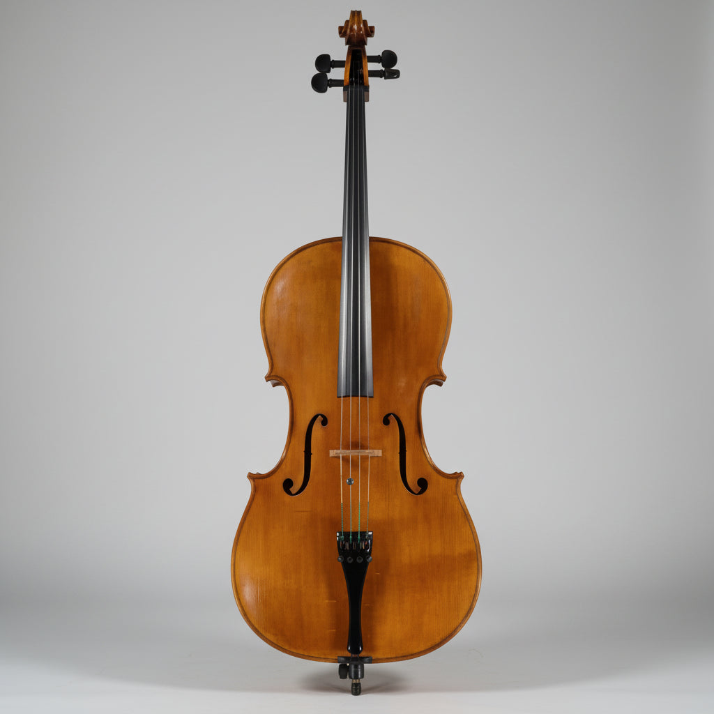Custom Beautified Instrumental Cover with a Lead Cello
